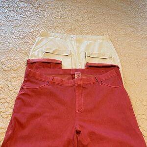 Burnt orange and Beige Pants